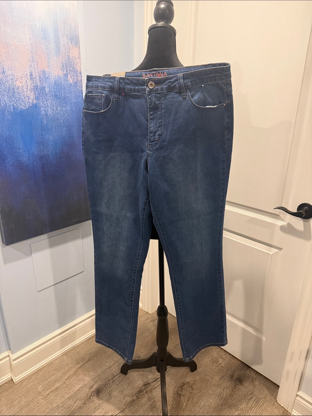 Santana Women's Straight-Leg Jeans in Dark Blue